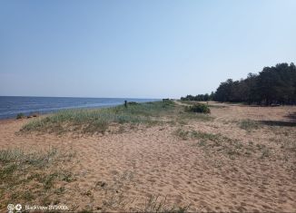 Продаю земельный участок, 20 сот., городской посёлок Лебяжье, Красногорская улица, 47