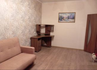 Сдается в аренду 1-комнатная квартира, 43 м2, Егорьевск, Гражданская улица, 100А