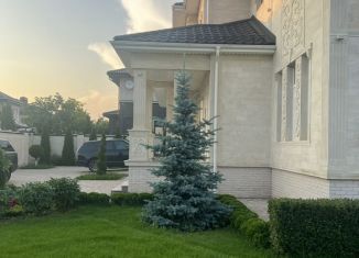 Продам дом, 640 м2, деревня Борисовка, Весёлая улица