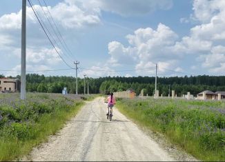 Гусева деревня свердловская область