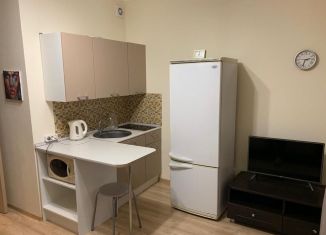 Квартира на продажу студия, 19.6 м2, Кудрово, ЖК Вернисаж, Английская улица, 2