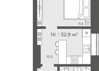 Продаю 1-комнатную квартиру, 32.9 м2, Новосибирск, Советский район