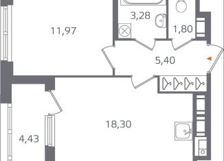 Продажа 1-ком. квартиры, 43 м2, Санкт-Петербург, муниципальный округ Финляндский