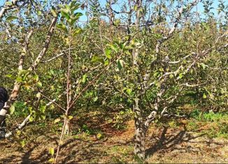 Продам участок, 40 сот., село Зыбины, улица Кирова