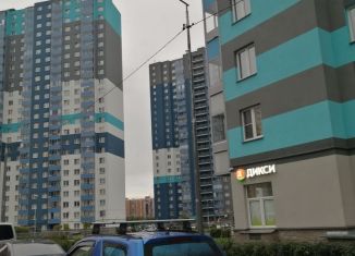 2-комнатная квартира в аренду, 58 м2, Санкт-Петербург, ЖК Новая Охта, аллея Евгения Шварца