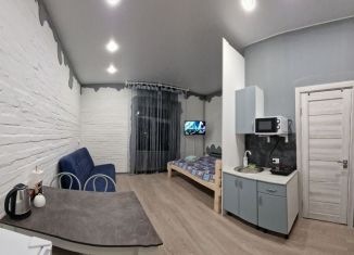Квартира в аренду студия, 25 м2, Ярославская область, Большая Октябрьская улица, 69А