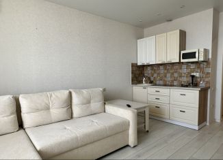 Продается квартира студия, 28 м2, Анапа, Владимирская улица, 154к2, ЖК Трио