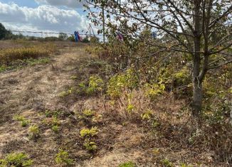 Продается земельный участок, 25 сот., село Клиновка, Луговая улица