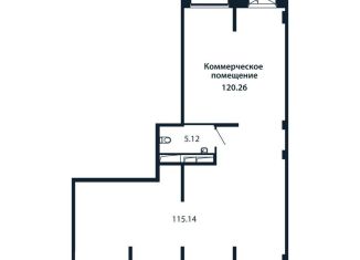 Продажа помещения свободного назначения, 120.26 м2, городской посёлок Новоселье, Красносельское шоссе, 9