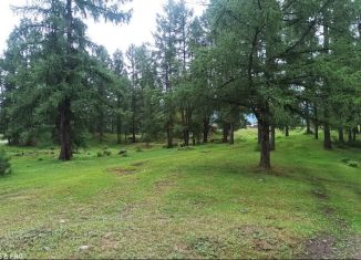 Участок на продажу, 17 сот., Верх-Уймонское сельское поселение