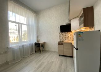 Продам квартиру студию, 17.2 м2, Санкт-Петербург, набережная реки Карповки, 30, метро Петроградская