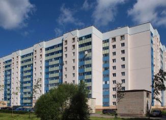Сдается однокомнатная квартира, 42 м2, Санкт-Петербург, проспект Науки, 79к3, муниципальный округ Пискарёвка