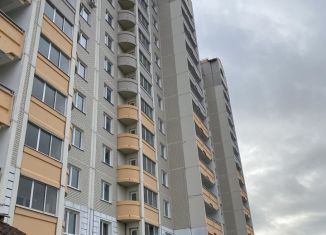 Продажа однокомнатной квартиры, 45 м2, Московская область, Центральная улица, 33