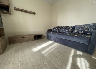 Однокомнатная квартира в аренду, 34 м2, Ростов-на-Дону, проспект Королёва, 6/2