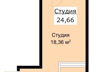Продажа квартиры студии, 24.7 м2, Махачкала, проспект Казбекова