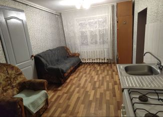 Сдам в аренду дом, 35 м2, деревня Антоновка, улица Ромашина