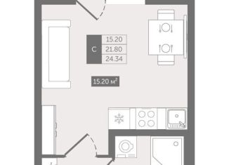 Квартира на продажу студия, 24.3 м2, деревня Новое Девяткино