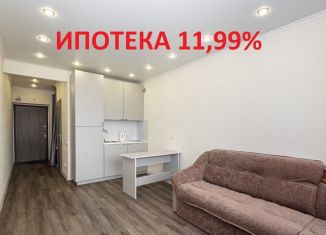 Продается квартира студия, 24.2 м2, Новосибирск, Красный проспект, 323