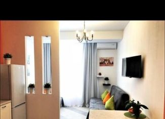 Сдаю квартиру студию, 29 м2, Сочи, Орбитовская улица, 2Б, микрорайон Энергетик-Изумруд