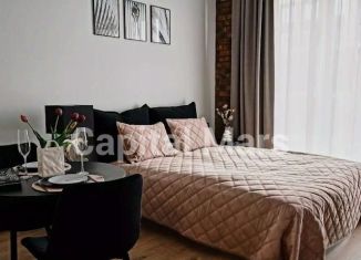 Сдается 1-ком. квартира, 30 м2, Санкт-Петербург, набережная Макарова, 58