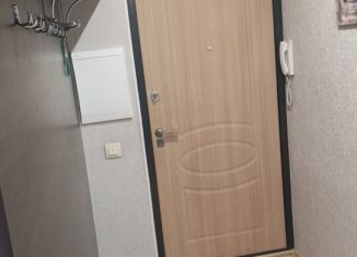 Аренда 2-комнатной квартиры, 46.3 м2, Удмуртия, Северный переулок, 50