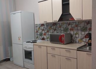 Сдаю 1-ком. квартиру, 51 м2, Новосибирск, улица Бородина, 54