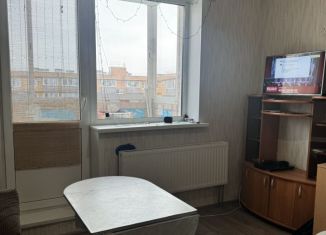 Продается квартира студия, 20.3 м2, Пермь, Агатовая улица, 32