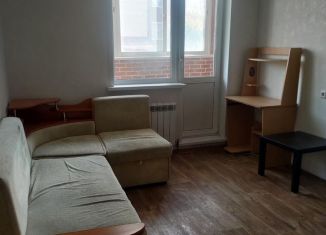 Сдам в аренду квартиру студию, 25 м2, Новосибирск, Беловежская улица, 4/1