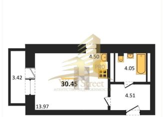 Квартира на продажу студия, 30 м2, Новосибирск, Красный проспект, 167к10