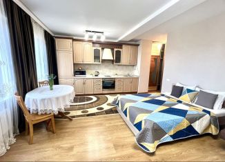 Сдаю в аренду квартиру студию, 40 м2, Иркутск, Советская улица