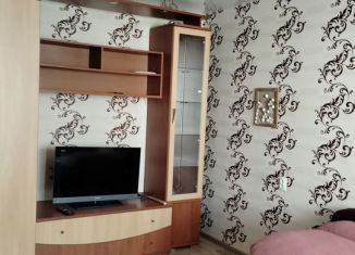 Аренда 1-комнатной квартиры, 30 м2, Биробиджан, Невская улица, 10Б, микрорайон А