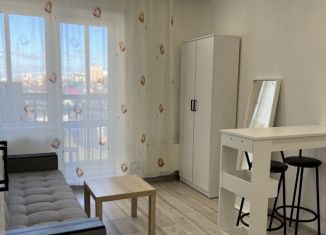 Сдается квартира студия, 20 м2, Новосибирск, Заречная улица, 47