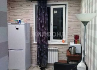 Продажа 1-комнатной квартиры, 35.8 м2, Новосибирск, улица Мясниковой, 6/1, метро Заельцовская