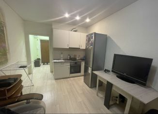 Квартира в аренду студия, 20.8 м2, Воронеж, улица Туполева, 27А, ЖК Авиатор