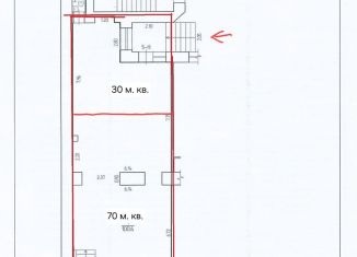 Сдаю торговую площадь, 30 м2, Санкт-Петербург, Каменноостровский проспект, 43, метро Чкаловская