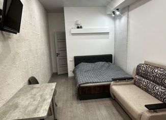 Квартира в аренду студия, 24.5 м2, Анапа, улица Ленина, 180Ак2