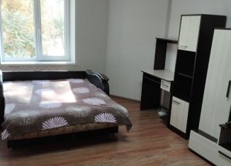 1-комнатная квартира в аренду, 30 м2, Губкин, улица Раевского, 11А