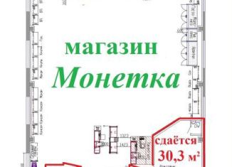 Сдается в аренду торговая площадь, 30.3 м2, Пермь, улица Желябова, 16АА, Дзержинский район