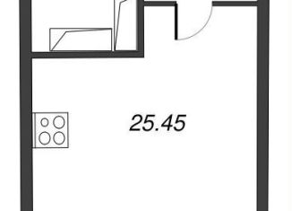 Продажа квартиры студии, 28.6 м2, Ленинградская область