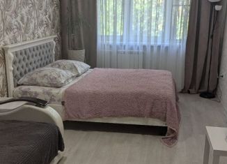 Сдается 1-ком. квартира, 50 м2, Самара, Ташкентская улица, 145, метро Безымянка