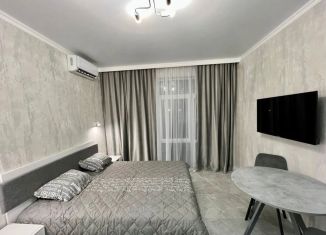 Продам квартиру студию, 35 м2, Ростов-на-Дону, Заводская улица