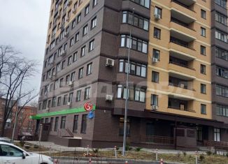 Продажа 2-комнатной квартиры, 48 м2, Ростов-на-Дону, улица Герасименко, 17/3