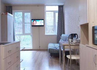 Сдается в аренду квартира студия, 26 м2, Сочи, Фермерский переулок, 2/1, микрорайон Энергетик-Изумруд