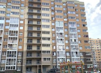 Продается 1-комнатная квартира, 30.2 м2, городской посёлок Янино-1, Голландская улица, 10к1, ЖК Новое Янино