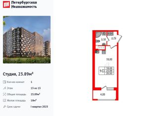 Продажа квартиры студии, 23.9 м2, Санкт-Петербург, Дальневосточный проспект, 23, Невский район