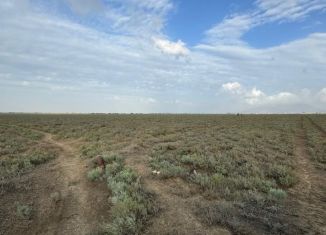 Продается участок, 109 сот., село Коркмаскала