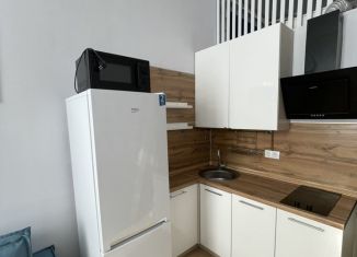 Сдаю в аренду квартиру студию, 20 м2, Москва, Клинская улица, 8с1