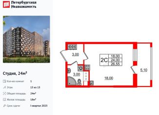 Продажа квартиры студии, 24 м2, Санкт-Петербург, Дальневосточный проспект, 23, Невский район