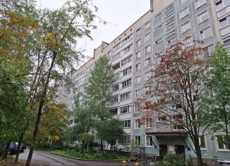 Продажа двухкомнатной квартиры, 45.8 м2, Санкт-Петербург, улица Академика Константинова, 10к1, муниципальный округ Академическое