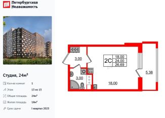 Продается квартира студия, 24 м2, Санкт-Петербург, Дальневосточный проспект, 23, муниципальный округ Невский